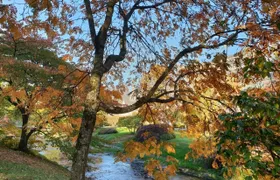 Baden-Baden historic self-guided audio tour