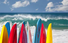1.5-Hour Surf Lesson in Santa Monica