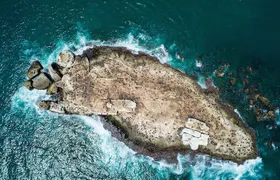 Seal Island Tour in Mossel Bay