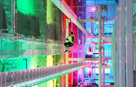 New Haven - It Zip It Adventure Indoor Ropes Course (One Hour)