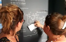 Visit of the Artemisia museum