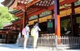 Port Pick-Up: Hakata Private Tour Licensed Guide＆ Vehicle