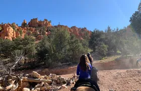 Ruby's Horseback Adventures Utah Half Day Ride