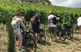 Chianti Bike Tour from Florence