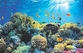 Boat safari & Hikkaduwa coral reef visit including Galle city from Hambantota