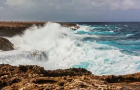 Guided tour to Washington-Slagbaai national park