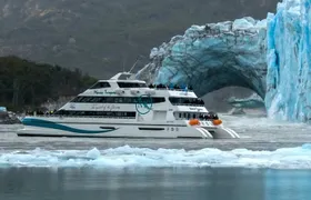 Glaciares Gourmet Navigation: Spegazzini, Upsala & Perito Moreno