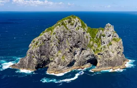 Small group day tour to Bay of Islands from Auckland