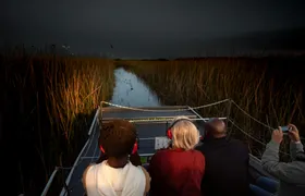 Central Florida Everglades Night Airboat Tour with Park Admission
