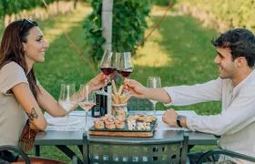 Wine and Food Tasting in the Vineyards in Lazise