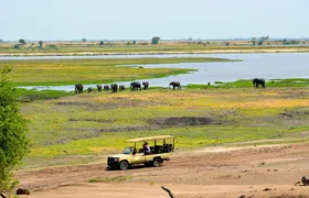 Chobe National Park Game Drive, Botswana