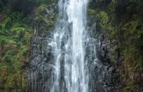 From Arusha: Materuni Village and Waterfall Day Tour