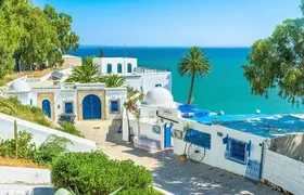 Private tour: Medina,Carthage ,Sidi Bou Said, Bardo Museum+lunch