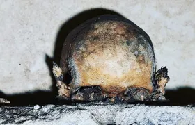 The Skull with the Ears: the Cult of the Dead in the Church of S. Luciella