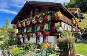 Easy countryside tour in Swiss Alps - kids friendly