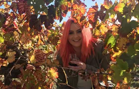 Swan Valley Winery Experience - Full Day Coach Tour