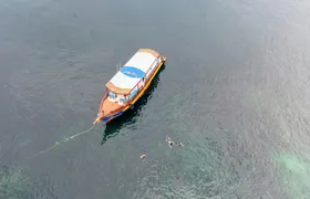 Koh Tao's first light snorkel adventure