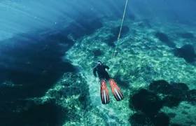 Snorkeling Tour with Certified Guides in Cambrils