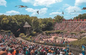 Entrance ticket to Puy du Fou