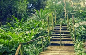 Best of Nadi Highlights