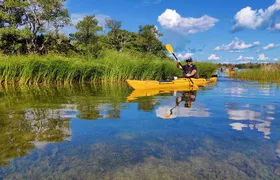 1-Day Small-Group Stockholm Archipelago Kayak Tour