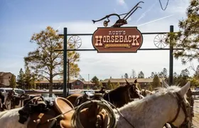  Ruby's Horseback Adventures Utah 1.5 Hour Ride