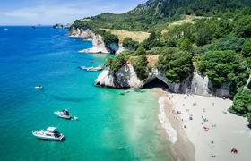 Cathedral Cove & Coromandel Peninsula Small-Group Day Tours 