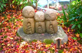 Kamakura Private Tour: Temples, Nature, and the Great Buddha