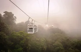 Monteverde Sky Tram & Hanging Bridges Cloud Forest Tour from San Jose