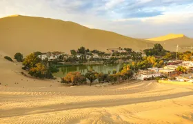 Ica city and region full-day guided tour from Lima