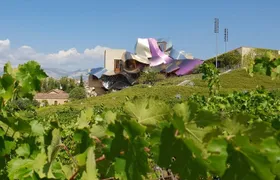 Rioja Wine Tour: 2 Wineries From Pamplona