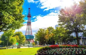 Sapporo 6hr Private Tour with Government Licensed Guide