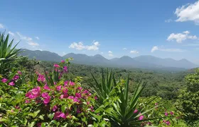 Full Day Ruta de Las Flores visit four Colonial Towns and Coffee Farm