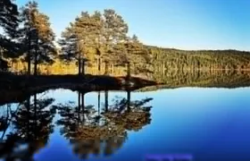 Explore the beautiful nature of Trondheim