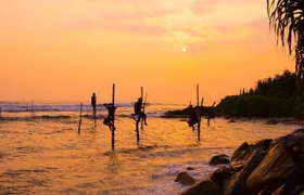 3 Day Pasikudha Tour from Anuradhapura