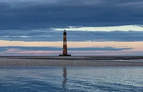 Private 2 Hour Morris Island and River Cruise