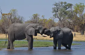 11 Days and 10 Nights Private Northern Explorer Tour 