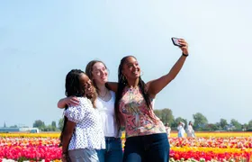 Tulip Experience Amsterdam with Museum and Tulip Show Garden