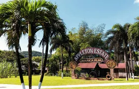 Appleton Rum tasting, YS Falls and Pelican Bar tour