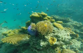 Snorkeling Tour to 4 Islands(Emerald Cave) From Koh Lanta by Speedboat