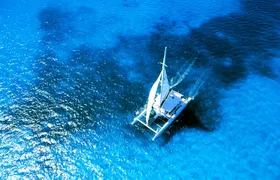 VIP Catamaran Cruise