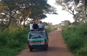 Murchison Falls Day Safari (Game Drive & Falls)