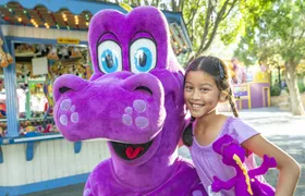 Castle Park Ride Park Admission
