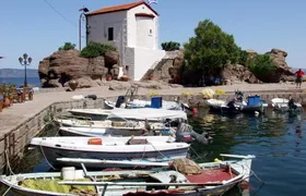 Skala Sykaminia Boat Trip & Free Time Ticket