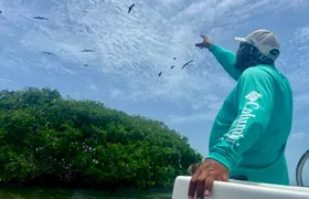 Half Day Reef Snorkel and Wildlife Tour