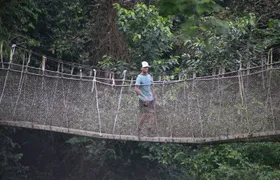 Kakum National Park and Cape Coast Castle Day Tour