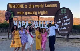 6-Hour Private Limousine Tour to Napa and Sonoma Valley Wineries