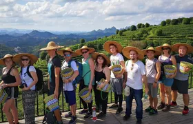 Half-day Tour: Largest Tea Plantation & Amazing Xianggong Hill