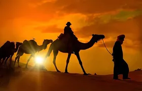 Camel ride Marrakech