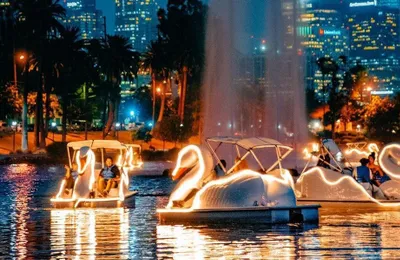 Swan Boat Night Ride at Echo Park Lake